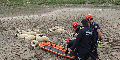 Kayseri'de bataklıkta mahsur kalan 30 koyun kurtarıldı