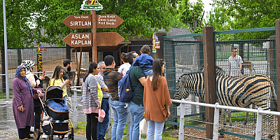 Kayseri'de bayramın son 2 günü hayvanat bahçesi ücretsiz ziyaret edilebilecek