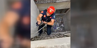 Kayseri'de binanın havalandırma boşluğuna düşen kediyi itfaiye kurtardı