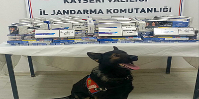 Kayseri'de çay ve tütün tespit köpeği ile kaçakçılara darbe