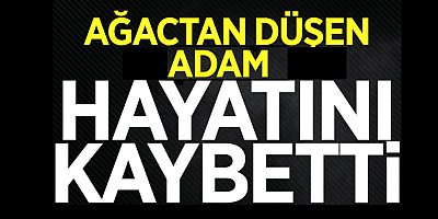 Kayseri'de ceviz ağacından düşen kişi hayatını kaybetti