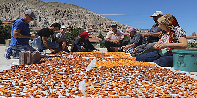 Kayseri'de damda kayısı kurutma telaşı başladı