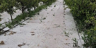 Kayseri'de dolu meyve bahçelerine zarar verdi