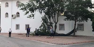 Kayseri'de dut ağacından düşen kişi öldü