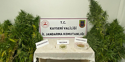 Kayseri'de evinde Hint keneviri yetiştiren kişi yakalandı