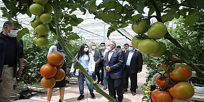 Kayseri'de evsel ve tıbbi atıklardan elektrik üretim kapasitesi artırıldı