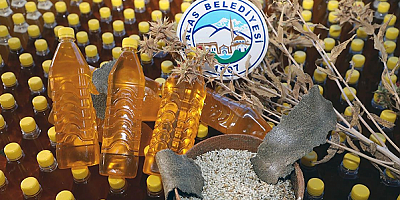 Kayseri'de hasat edilen aspirin yağı depremzedelere gönderilecek