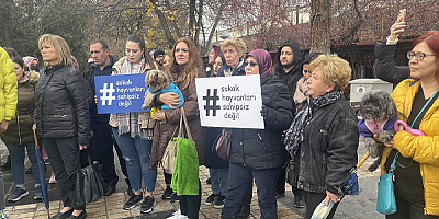  Kayseri'de hayvanseverler sokak hayvanları için bir araya geldi