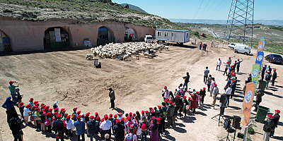 Kayseri'de ilkokul öğrencileri, kuzuların anneleriyle buluşmasına tanık oldu