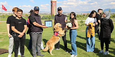 Kayseri'de jandarmanın eğitimli köpekleri gösteri yaptı