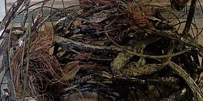 Kayseri'de kablo çalan zanlı yakalandı