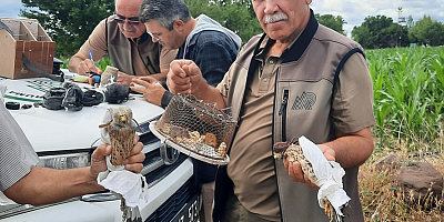 Kayseri'de kaçak avlanan 2 kişiye 50 bin 500 lira ceza verildi