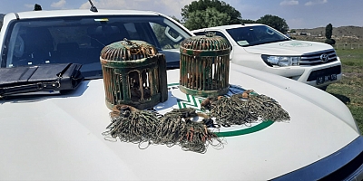 Kayseri'de kaçak keklik avlayan kişiye 7 bin 500 lira ceza kesildi