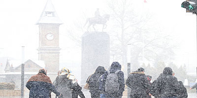Kayseri'de kar yağışı etkili oluyor