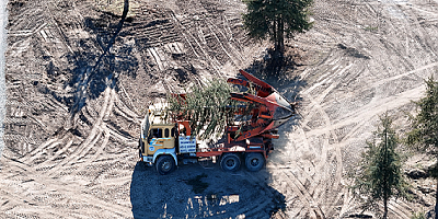 Kayseri'de Kartal Kavşağı Projesi Öncesi Ağaçlar Taşınıyor