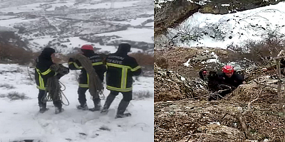 Kayseri'de kayalıklarda mahsur kalan keçi 6 saatlik operasyonla kurtarıldı