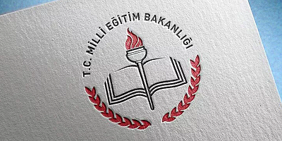 Kayseri'de kediye tekme attığı iddia edilen okul müdürü hakkında soruşturma başlatıldı