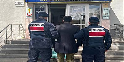 Kayseri'de köpeğini ağaca asıp öldüren şahıs gözaltına alındı