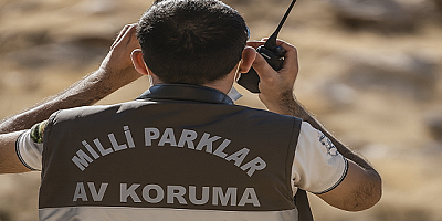 Kayseri'de koruma altındaki yaban keçisini avlayan şahısa para cezası