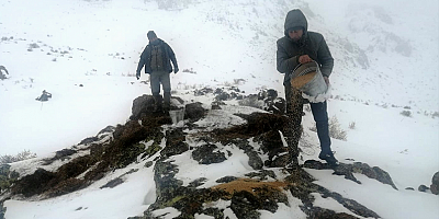 Kayseri'de pazar artığı sebzeler yaban hayvanları için doğaya bırakıldı