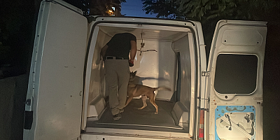 Kayseri'de polisten kaçarken 5 araca çarpan, 1 çocuğu yaralayan kişi yakalandı