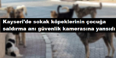Kayseri'de sokak köpeklerinin çocuğa saldırma anı güvenlik kamerasına yansıdı