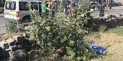 Kayseri'de sokakta çiçek toplarken rahatsızlanan kadın öldü
