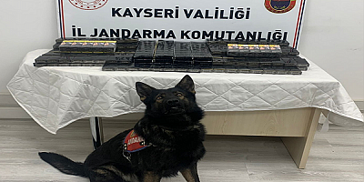 Kayseri'de tır dorsesinde 350 paket kaçak sigara bulundu