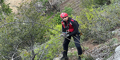 Kayseri'de uçurumda mahsur kalan 4 keçi saatler süren çalışma ile kurtarıldı