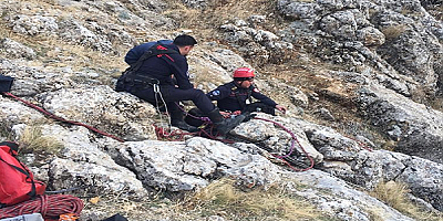 Kayseri'de uçurumda mahsur kalan keçi kurtarıldı