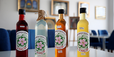 Kayseri'de üretici kadınlar kooperatif çatısı altında buluştu