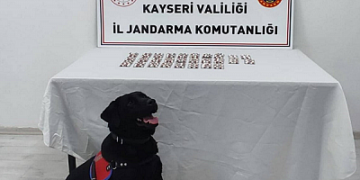 Kayseri'de uyuşturucu operasyonu