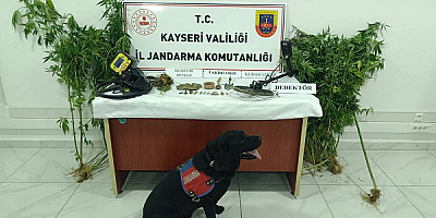 Kayseri'de Uyuşturucu Operasyonu