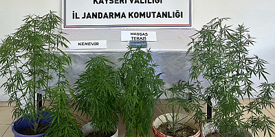 Kayseri'de uyuşturucu operasyonunda 1 şahıs yakalandı