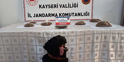 Kayseri'de uyuşturucu operasyonunda 1 şüpheli yakalandı