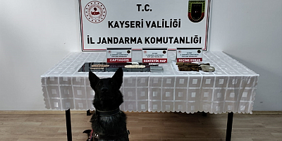 Kayseri'de uyuşturucu operasyonunda bir zanlı yakalandı