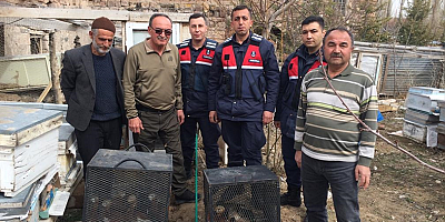 Kayseri'de yaban hayvanlarını evinde besleyen kişiye 20 bin lira ceza