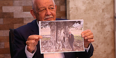 Kayseri'de yaklaşık 300 yıllık akkavaklar için anıt ağaç tescil başvurusu yapıldı