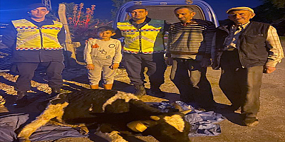Kayseri'de Yaralanan inekleri ile dağlık bölgede mahsur kalan besici ve oğlu kurtarıldı