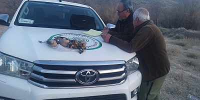 Kayseri'de yaşa dışı av yapan 3 kişiye işlem yapıldı