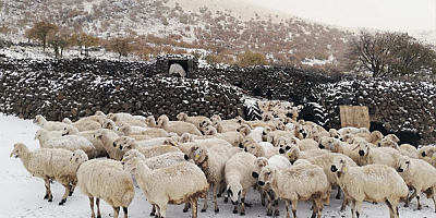 Kayseri'de yaylacılar kar yağışı nedeniyle erken dönüş yaptı