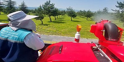  Kayseri'de Yeşil Alanlarda Hastalık ve Zararlılara Karşı İlaçlama