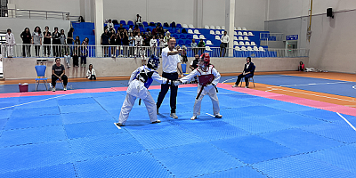  Kayseri Minikler Tekvando İl Şampiyonası Hacılar Spor Salonu’nda gerçekleştirildi