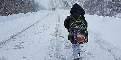 Kayseri'nin 8 ilçesinde eğitime kar engeli