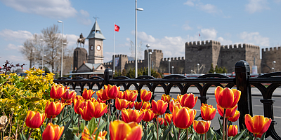 Kayseri'nin park ve bahçelerine 1 milyon çiçek dikilecek