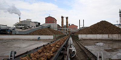 Kayseri Şeker 6 ildeki pancar sahasından 3 milyon tonun üzerinde rekolte bekliyor