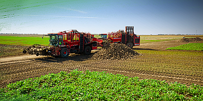 Kayseri Şeker'de çifçiye 3.söküm avansı