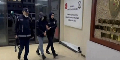 Kırmızı bültenle Interpol tarafından aranan 10 kişi Kafes-30 operasyonuyla yakalandı