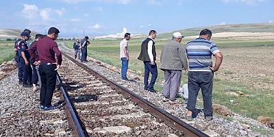 Konya'da trenin çarptığı 140 küçükbaş hayvan telef oldu