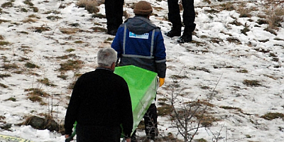 Mahkemeden Hacılar'daki köpek saldırısı ile ilgili tazminat kararı